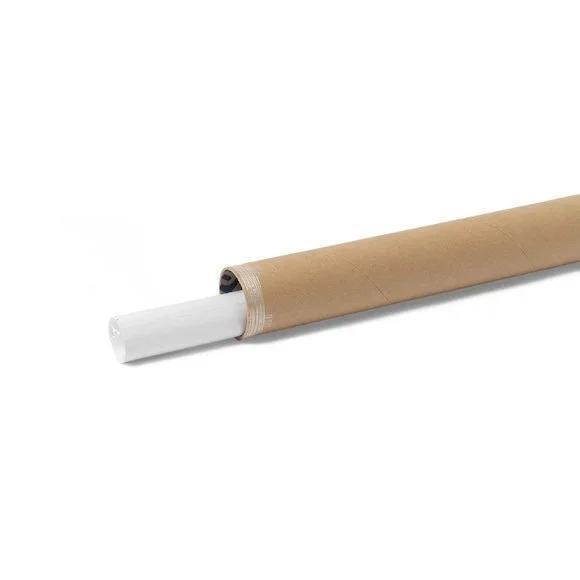 Led Zeppelin - Jimmy Page - Earls Court 1975 Poster - Picture 4 of 4